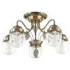 Потолочная люстра Lumion Afemi 3288/5C