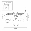Потолочная люстра Odeon Light Bonar 2773/3C