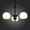 Люстра на штанге ST-Luce Cupo SL685.403.03