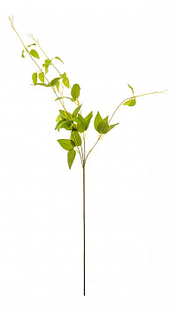 Ветка (75 см) 278-115