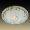 Накладной светильник Sonex Provence Crema 256