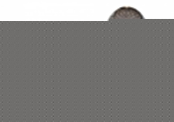 Люстра на штанге Rivoli Haley Б0055384