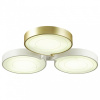 Накладной светильник Lumion Dilip 3646/60CL