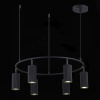 Подвесная люстра ST-Luce Kendo SL1213.403.06