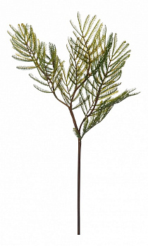 Ветка (35 см) Папоротник 58003000