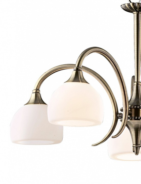 Подвесная люстра Odeon Light Adriana 1601/5