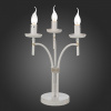 Настольная лампа декоративная ST-Luce SL155 SL155.504.03