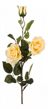 Букет (74 см) Роза 23-712