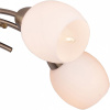 Потолочная люстра TopLight Merry TL3780X-05AB