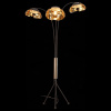 Торшер ST-Luce Loto SL817.425.03