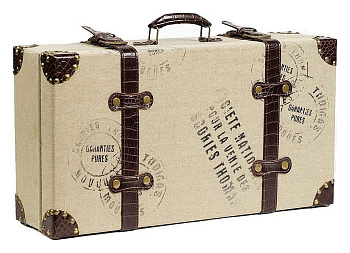 Шкатулка декоративная (56х33х17 см) Pacchetto Medio DG-D-551B