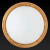 Накладной светильник TopLight Hillary TL9023Y-02PN