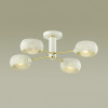 Потолочная люстра Lumion Noelle 4531/4C