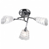 Потолочная люстра Odeon Light Imola 2623/3C