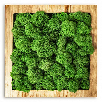 Панно (50x4x50 см) Квадрат Мох