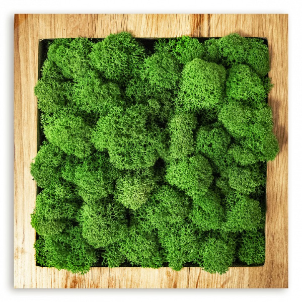 Панно (50x4x50 см) Квадрат Мох