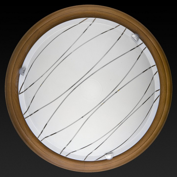 Накладной светильник TopLight Gabrielle TL9610Y-00OA
