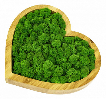 Панно (50x4x50 см) Сердце