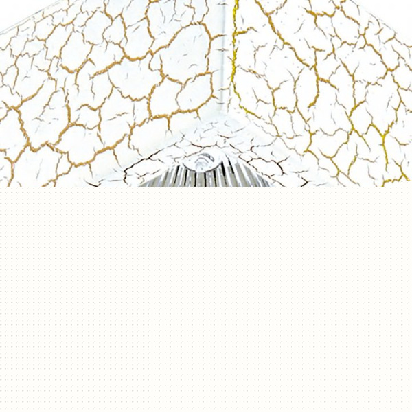 Встраиваемый светильник Lightstar Extra 041021