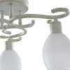 Потолочная люстра TopLight Loretta TL7360X-03WG