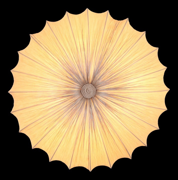 Накладной светильник ST-Luce Tessuto SL351.172.08