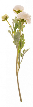 Ветка (50 см) Ранункулюс 278-121