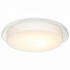 Накладной светильник ST-Luce Botone SL466.512.01