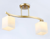 Светильник на штанге Ambrella Light TR TR303119