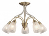 Люстра на штанге Odeon Light Mariot 2541/5С