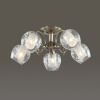 Люстра на штанге Lumion Velia 3107/5C