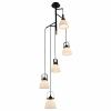 Подвесная люстра ST-Luce SL714 SL714.443.05