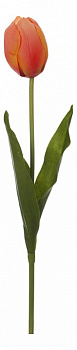 Цветок (55 см) Тюльпан 58015400
