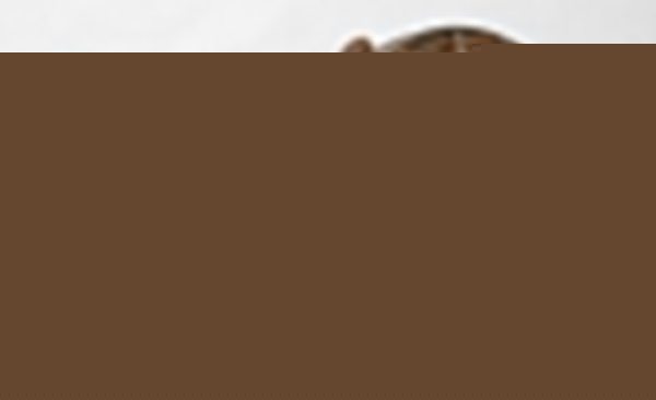 Спот Lussole Huntsville LSP-9501