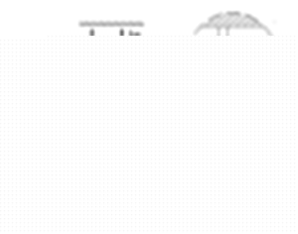 Потолочная люстра Globo Florita 54984-6D