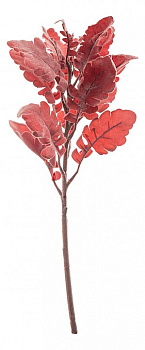 Ветка (45 см) Крестовник 265-602