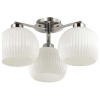Потолочная люстра Odeon Light Micca 3971/3C