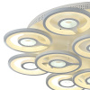 Потолочная люстра F-promo Roundels 2292-12U