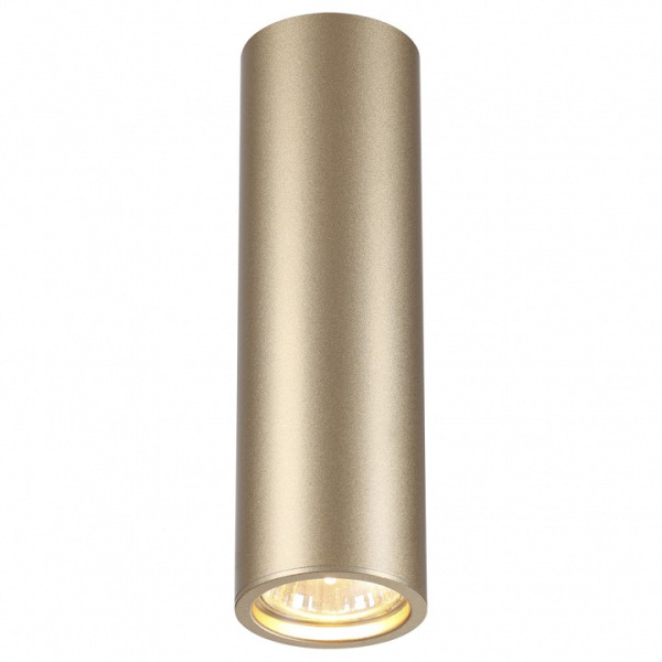 Подвесной светильник Odeon Light Vincere 3828/1C