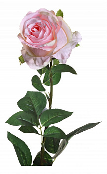 Набор из 12 цветков Роза 8J-1211S0017