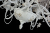 Подвесная люстра Maytoni Orfeo ARM393-08-W