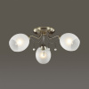 Потолочная люстра Lumion Veronica 3145/3C