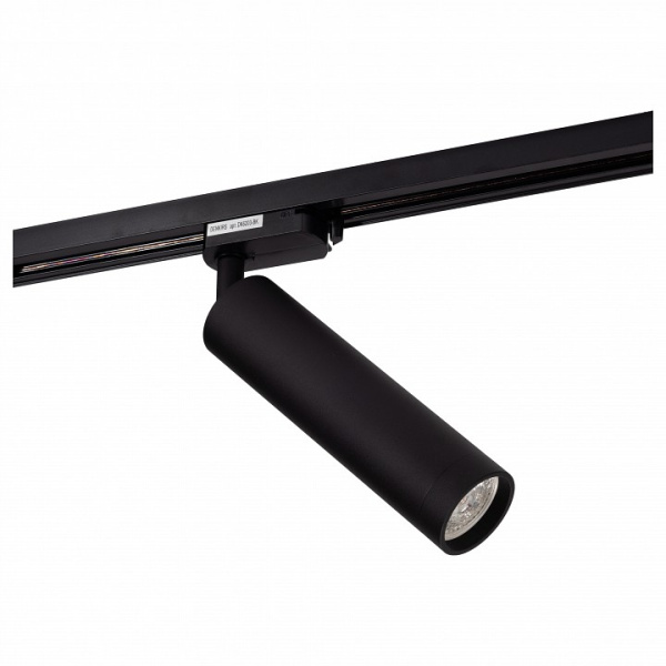 Светильник на штанге Denkirs DK620 DK6203-BK