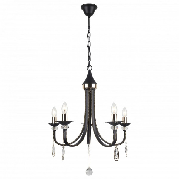 Подвесная люстра Arte Lamp Dallas A8540LM-5BK