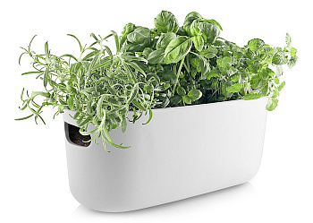 Кашпо (31х13х13 см) Eva Solo 568168