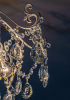 Люстра на штанге Escada Kelly 1123/4PL