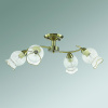 Люстра на штанге Lumion Rozetta 3109/4C