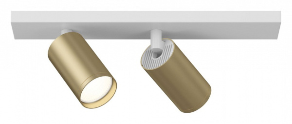 Спот Maytoni Focus S C051CL-2WMG