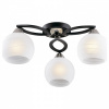 Потолочная люстра Odeon Light Bonar 2773/3C
