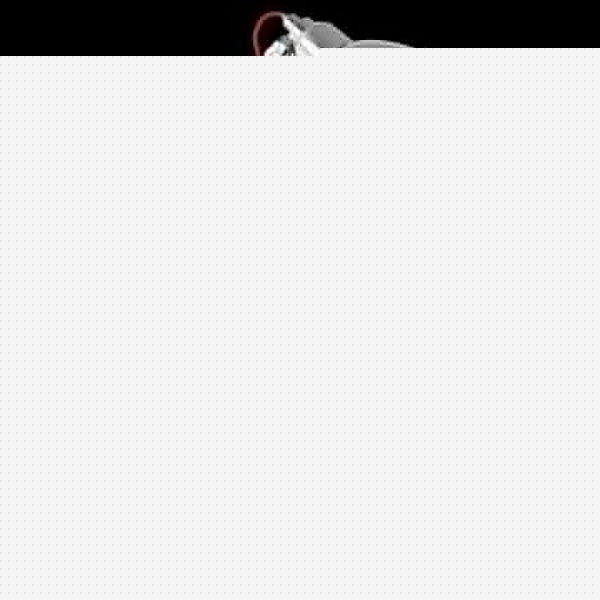 Настольная лампа офисная Lightstar Loft 765914