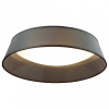 Накладной светильник Odeon Light Sapia 4158/5C